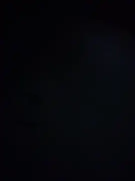 Snapshot of King_cotize chatting on February 24, 2026, 5:41 am King cotize online show from February 24, 2026, 5:41 am