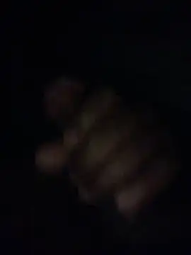 Snapshot of King_cotize chatting on March 21, 2026, 4:03 am King cotize online show from March 21, 2026, 4:03 am