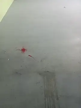 Seema hot online show from March 13, 2026, 3:39 pm