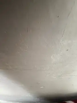 reena-sassy online show from February 20, 2026, 8:27 am