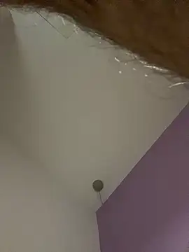 dimitri25987 online show from April 17, 2026, 7:33 am