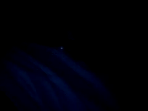 Snapshot of vladsexyguitar chatting on March 4, 2026, 1:02 am vladsexyguitar online show from March 4, 2026, 1:02 am