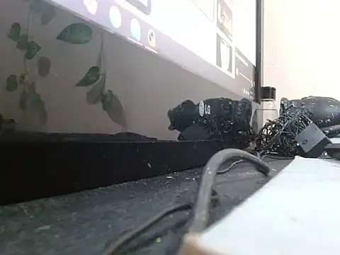 powderblu69 online show from May 6, 2026, 6:56 pm