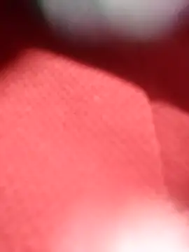 Snapshot of jackkk0011 chatting on February 26, 2026, 12:49 pm jackkk0011 online show from February 26, 2026, 12:49 pm