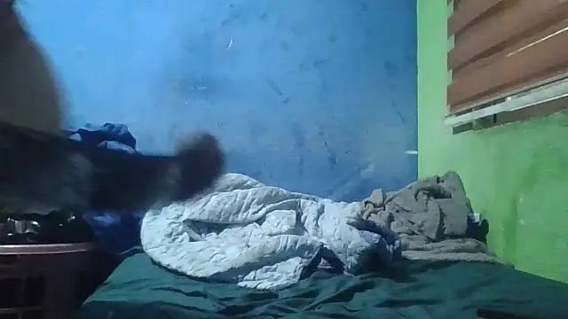 Soylilayblue online show from March 25, 2026, 6:46 am