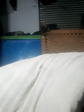 Manesakoli36 online show from March 23, 2026, 12:33 am