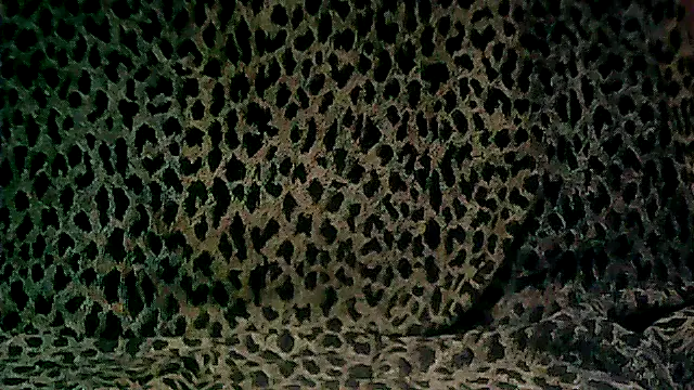 Snapshot of here51 chatting on March 20, 2026, 6:09 pm here51 online show from March 20, 2026, 6:09 pm