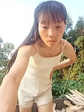 pic8800 online show from May 16, 2026, 10:36 am