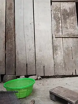 Snapshot of rinrin7700 chatting on April 16, 2026, 10:16 am rinrin7700 online show from April 16, 2026, 10:16 am