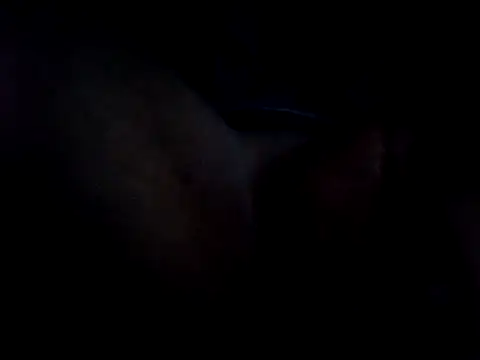 vidcasga online show from May 6, 2026, 4:38 am