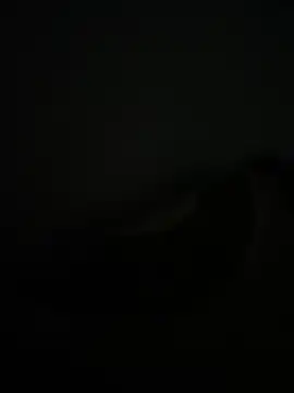 Snapshot of noorqwertz chatting on May 8, 2026, 4:55 pm noorqwertz online show from May 8, 2026, 4:55 pm