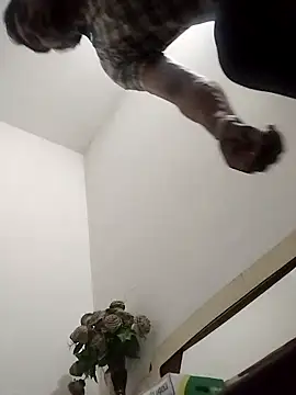 Rocky boy4 online show from March 18, 2026, 6:20 pm