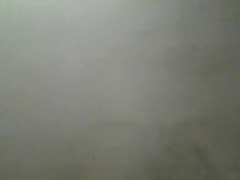 Snapshot of Foxboy65 chatting on July 27, 2026, 5:31 pm Foxboy65 online show from July 27, 2026, 5:31 pm