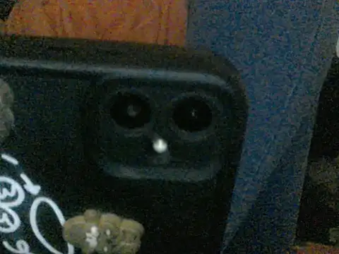 Slim cake online show from March 10, 2026, 12:09 pm