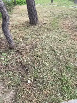 maikel18b online show from April 9, 2026, 5:19 pm