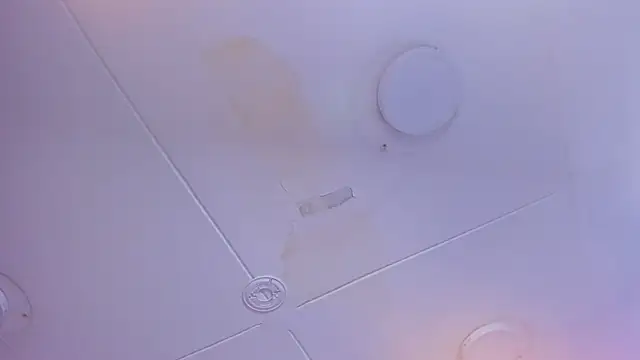 Rachel Wren online show from August 2, 2026, 4:48 pm
