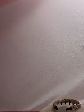 Drieevisexxx online show from April 17, 2026, 1:36 pm