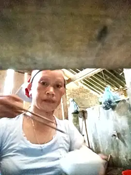 Heli pusy online show from June 19, 2026, 4:29 am