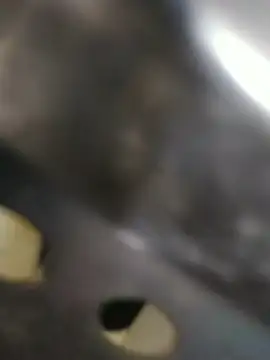 Rafii69 online show from April 1, 2026, 4:36 am