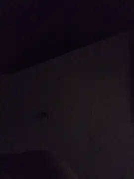 Relk130p online show from March 22, 2026, 7:54 am