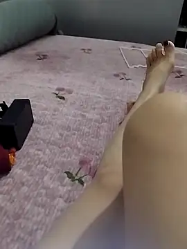 Shina veter online show from March 24, 2026, 2:06 pm