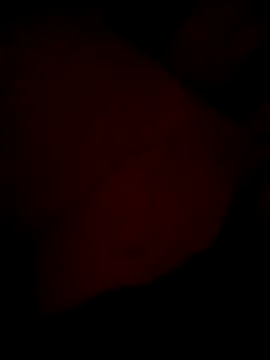 Snapshot of aapkichaht chatting on April 16, 2026, 3:57 pm aapkichaht online show from April 16, 2026, 3:57 pm