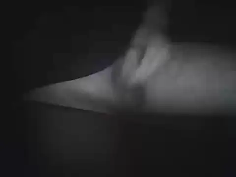 Foxmen9090 online show from April 7, 2026, 3:19 am