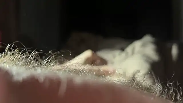 Snapshot of LUCIFERMORNINGSTAR512 chatting on March 20, 2026, 5:36 pm LUCIFERMORNINGSTAR512 online show from March 20, 2026, 5:36 pm