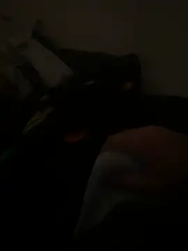 Snapshot of yassineamri chatting on March 28, 2026, 1:23 pm yassineamri online show from March 28, 2026, 1:23 pm