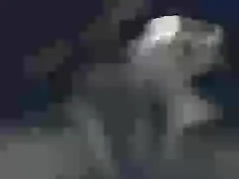 Snapshot of carlosruiz1152 chatting on March 24, 2026, 6:35 am carlosruiz1152 online show from March 24, 2026, 6:35 am