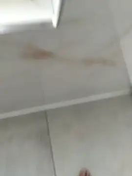 turkcock34 online show from April 26, 2026, 4:37 pm