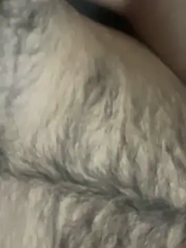 TurkishBoyzs online show from April 11, 2026, 7:28 pm