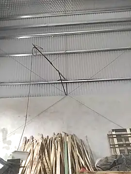 Tinh love online show from May 9, 2026, 1:53 am