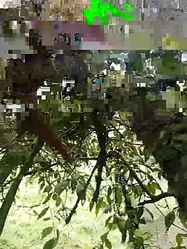 Snapshot of xjkedv chatting on June 6, 2026, 6:46 pm xjkedv online show from June 6, 2026, 6:46 pm