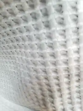 Aurora Nova online show from March 25, 2026, 6:13 am