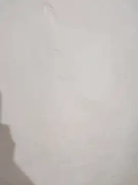 Snapshot of SLBL chatting on March 25, 2026, 9:30 am SLBL online show from March 25, 2026, 9:30 am