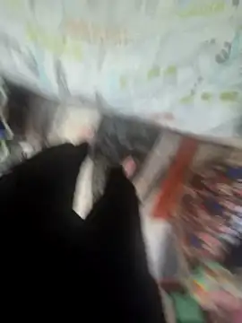 MassiveCongame online show from March 25, 2026, 12:37 pm