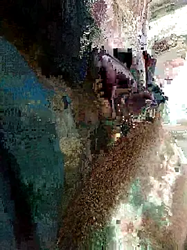 blax0 online show from March 29, 2026, 12:23 am