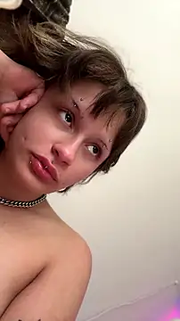 alldogsgotoheaven online show from July 6, 2026, 6:32 pm