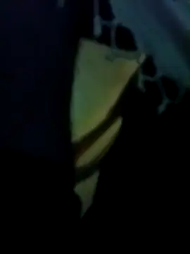 yourdreamman007  online show from March 31, 2026, 11:29 pm