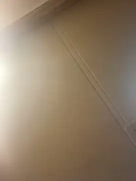 Snapshot of Bmoneyzzz chatting on April 6, 2026, 12:06 pm Bmoneyzzz online show from April 6, 2026, 12:06 pm