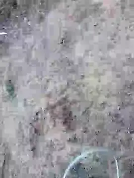 Snapshot of rocky_play_boy_ chatting on May 25, 2026, 11:53 am rocky play boy online show from May 25, 2026, 11:53 am