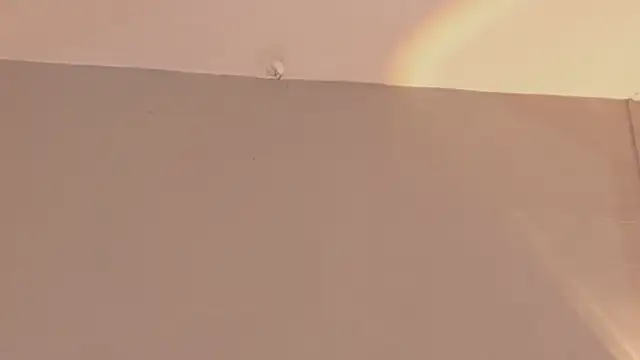 Snapshot of JadeHearrt chatting on May 28, 2026, 6:47 pm JadeHearrt online show from May 28, 2026, 6:47 pm