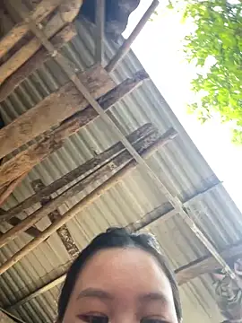 Swan 69 online show from April 21, 2026, 10:00 am