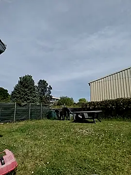 Osuleom29 online show from April 25, 2026, 1:25 pm