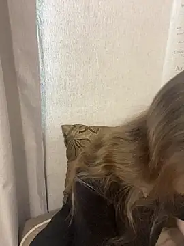 MeowyChans online show from July 4, 2026, 9:26 am