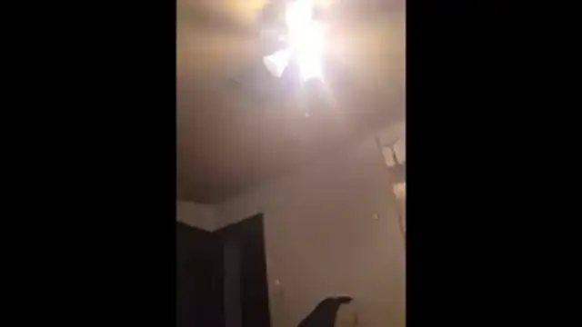 Clevername90 online show from November 25, 2025, 11:05 pm