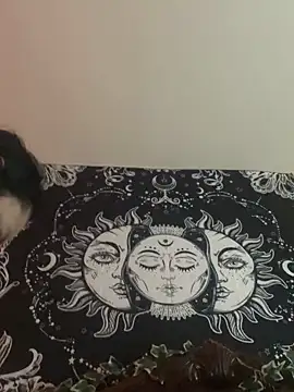 Snapshot of smoothkissx chatting on January 29, 2025, 12:02 pm smoothkissx online show from January 29, 2025, 12:02 pm