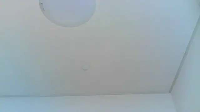 Snapshot of yoci0101 chatting on June 29, 2026, 4:39 pm yoci0101 online show from June 29, 2026, 4:39 pm