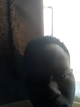 Snapshot of Darkfaruk chatting on June 21, 2026, 11:16 am Darkfaruk online show from June 21, 2026, 11:16 am